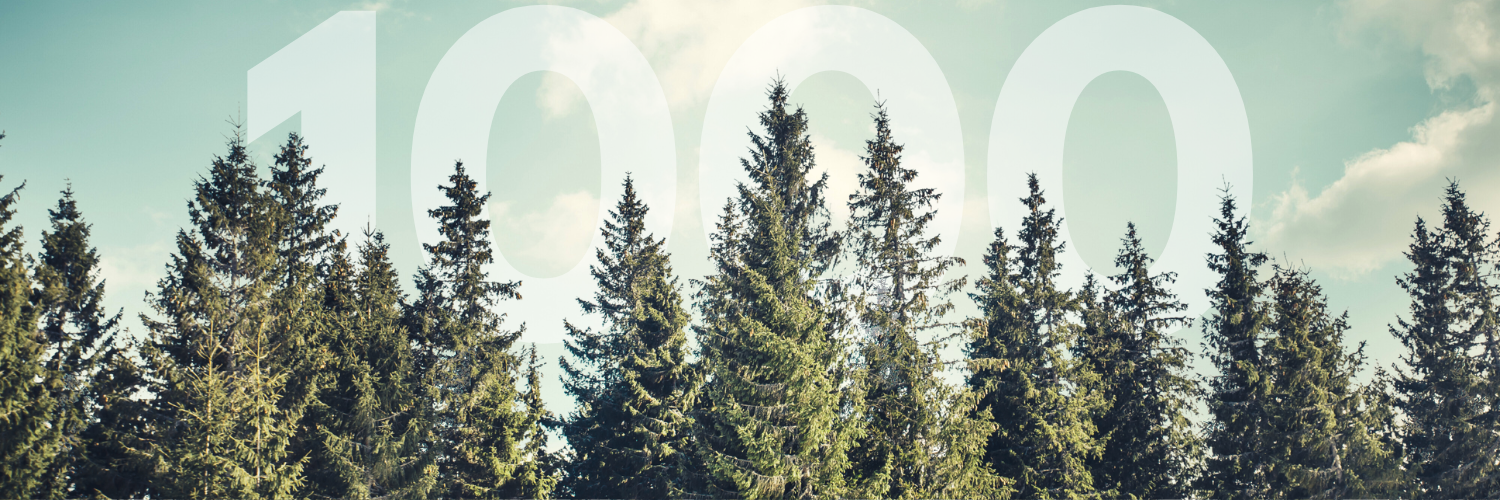 a forrest skyline with 1000 written in the sky behind the trees